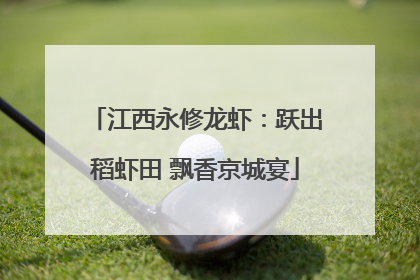 江西永修龙虾：跃出稻虾田 飘香京城宴