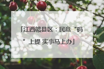 江西赣县区：民意“码”上提 实事马上办