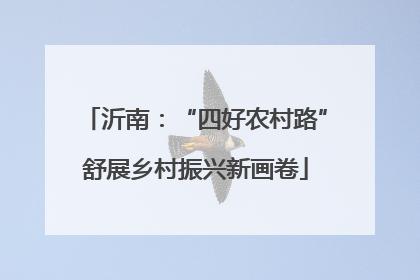 沂南：“四好农村路”舒展乡村振兴新画卷