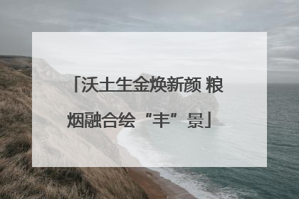 沃土生金焕新颜 粮烟融合绘“丰”景