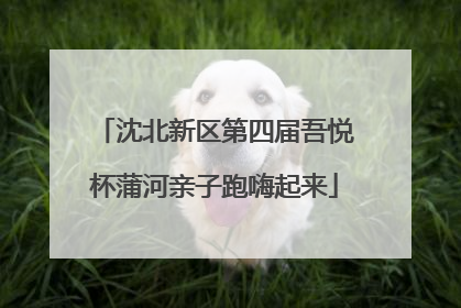 沈北新区第四届吾悦杯蒲河亲子跑嗨起来