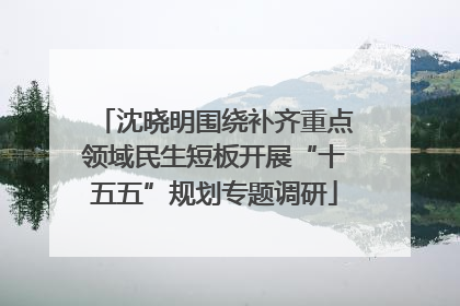 沈晓明围绕补齐重点领域民生短板开展“十五五”规划专题调研