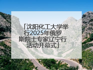 沈阳化工大学举行2025年俄罗斯院士专家辽宁行活动开幕式
