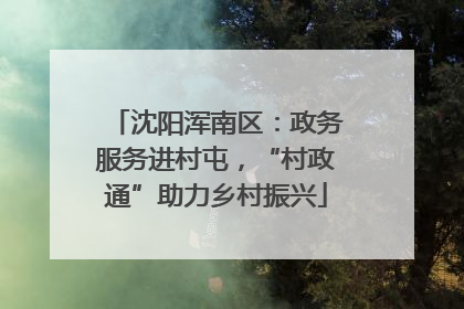 沈阳浑南区：政务服务进村屯，“村政通”助力乡村振兴