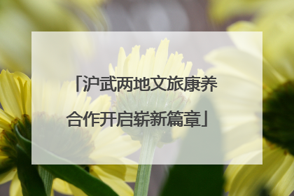 沪武两地文旅康养合作开启崭新篇章