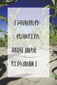 河南焦作：传承红色基因 赓续红色血脉