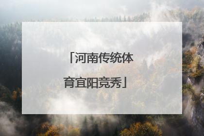 河南传统体育宜阳竞秀