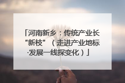 河南新乡：传统产业长“新枝”（走进产业地标·发展一线探变化）