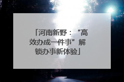 河南新野：“高效办成一件事”解锁办事新体验