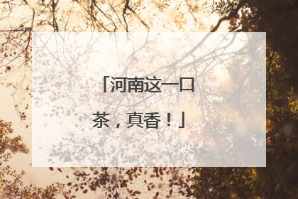 河南这一口茶，真香！