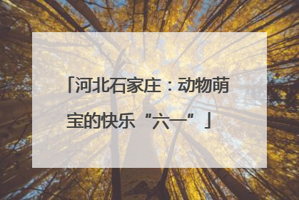 河北石家庄：动物萌宝的快乐“六一”