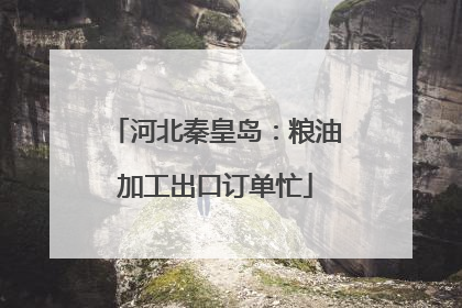 河北秦皇岛：粮油加工出口订单忙