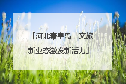 河北秦皇岛：文旅新业态激发新活力