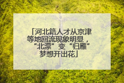 河北籍人才从京津等地回流现象明显，“北漂”变“归雁” 梦想开出花