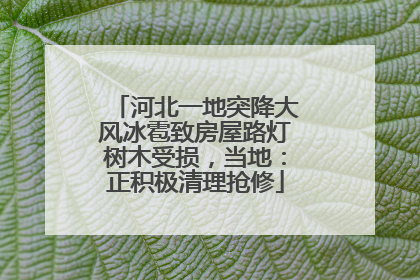 河北一地突降大风冰雹致房屋路灯树木受损，当地：正积极清理抢修