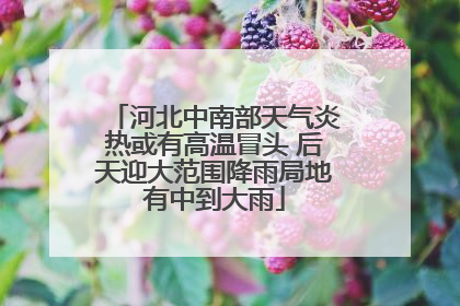 河北中南部天气炎热或有高温冒头 后天迎大范围降雨局地有中到大雨