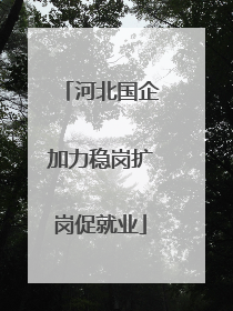 河北国企加力稳岗扩岗促就业