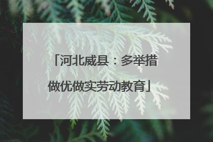 河北威县：多举措做优做实劳动教育