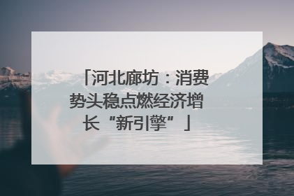 河北廊坊：消费势头稳点燃经济增长“新引擎”