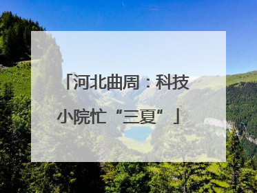河北曲周：科技小院忙“三夏”