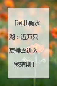 河北衡水湖：近万只夏候鸟进入繁殖期