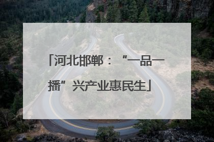 河北邯郸：“一品一播”兴产业惠民生