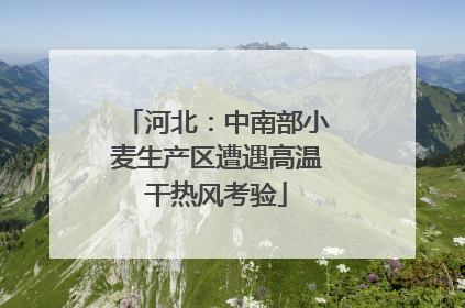 河北：中南部小麦生产区遭遇高温干热风考验