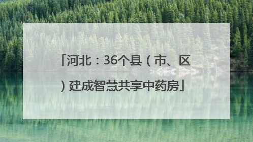 河北：36个县（市、区）建成智慧共享中药房