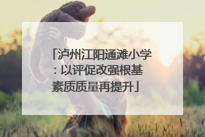 泸州江阳通滩小学：以评促改强根基 素质质量再提升