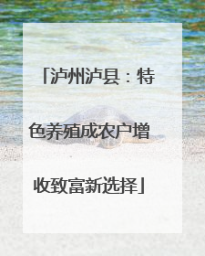 泸州泸县：特色养殖成农户增收致富新选择