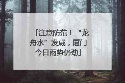 注意防范！“龙舟水”发威，厦门今日雨势仍劲