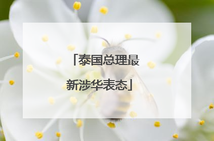 泰国总理最新涉华表态