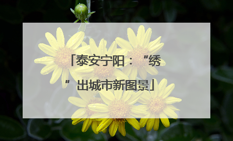 泰安宁阳：“绣”出城市新图景