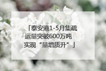 泰安港1-5月集疏运量突破600万吨 实现“量增质升”