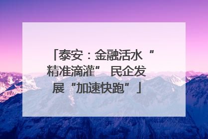 泰安：金融活水“精准滴灌” 民企发展“加速快跑”