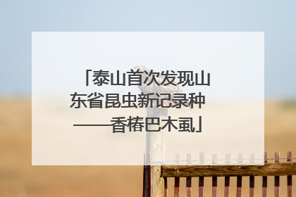 泰山首次发现山东省昆虫新记录种——香椿巴木虱