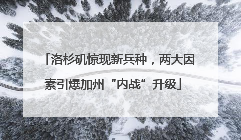 洛杉矶惊现新兵种，两大因素引爆加州“内战”升级