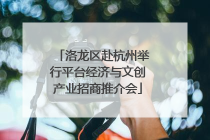 洛龙区赴杭州举行平台经济与文创产业招商推介会