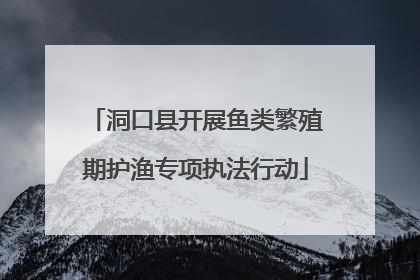 洞口县开展鱼类繁殖期护渔专项执法行动