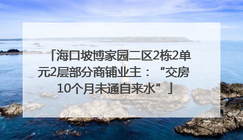 海口坡博家园二区2栋2单元2层部分商铺业主：“交房10个月未通自来水”