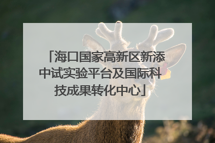 海口国家高新区新添中试实验平台及国际科技成果转化中心