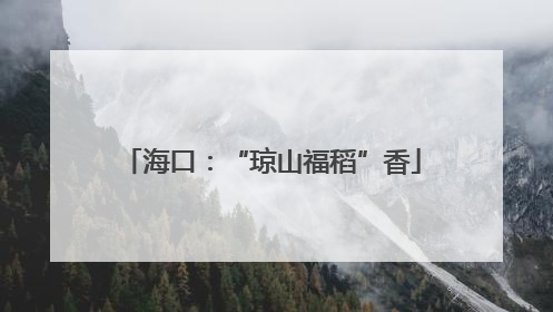 海口：“琼山福稻”香
