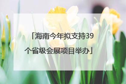 海南今年拟支持39个省级会展项目举办