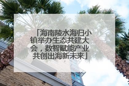 海南陵水海归小镇举办生态共建大会，数智赋能产业共创出海新未来