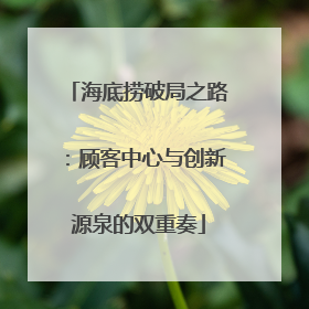 海底捞破局之路：顾客中心与创新源泉的双重奏