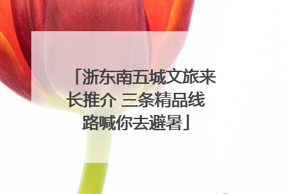 浙东南五城文旅来长推介 三条精品线路喊你去避暑