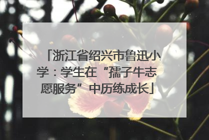 浙江省绍兴市鲁迅小学：学生在“孺子牛志愿服务”中历练成长