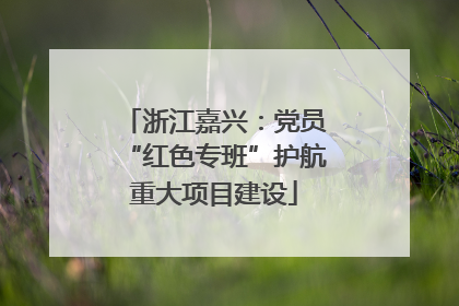 浙江嘉兴：党员“红色专班”护航重大项目建设