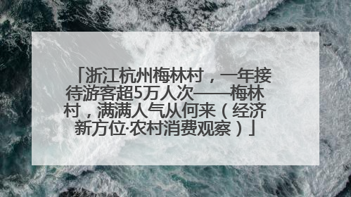 浙江杭州梅林村，一年接待游客超5万人次——梅林村，满满人气从何来（经济新方位·农村消费观察）