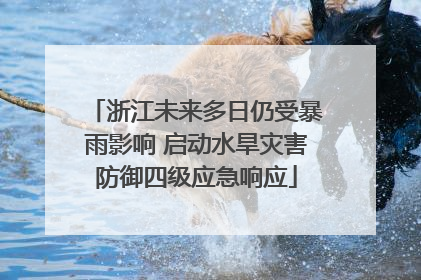 浙江未来多日仍受暴雨影响 启动水旱灾害防御四级应急响应
